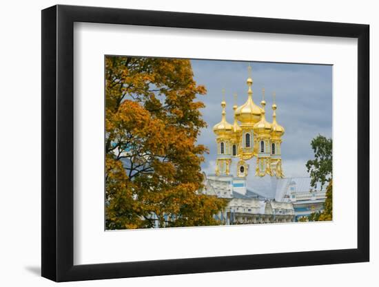 View of the domes of the Chapel of the Catherine Palace, UNESCO World Heritage Site, Pushkin, near-Miles Ertman-Framed Photographic Print