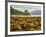 View of the Eilean Donan Castle, Dornie, Highlands, Scotland, United Kingdom, Europe-Karol Kozlowski-Framed Photographic Print