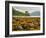 View of the Eilean Donan Castle, Dornie, Highlands, Scotland, United Kingdom, Europe-Karol Kozlowski-Framed Photographic Print