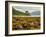 View of the Eilean Donan Castle, Dornie, Highlands, Scotland, United Kingdom, Europe-Karol Kozlowski-Framed Photographic Print