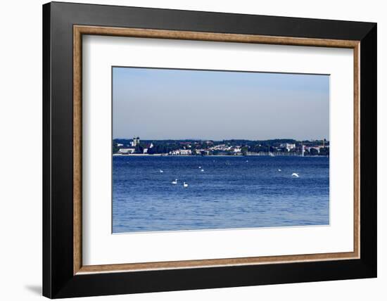 View of the Eriskircher Reeds on Friedrichshafen, Lake of Constance, Baden-Wurttemberg, Germany-Ernst Wrba-Framed Photographic Print