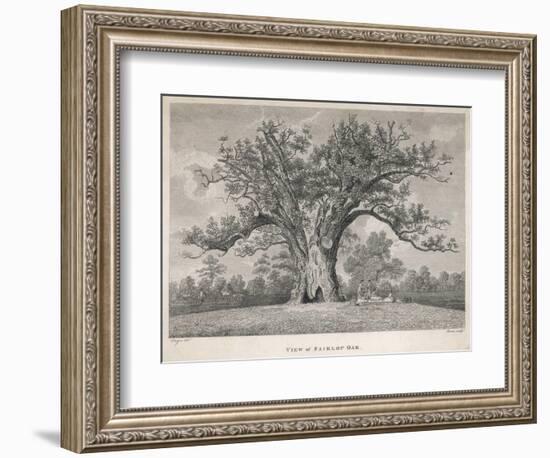 View of the Fairlop Oak in Epping Forest-Dayes-Framed Art Print