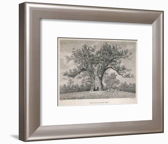 View of the Fairlop Oak in Epping Forest-Dayes-Framed Art Print