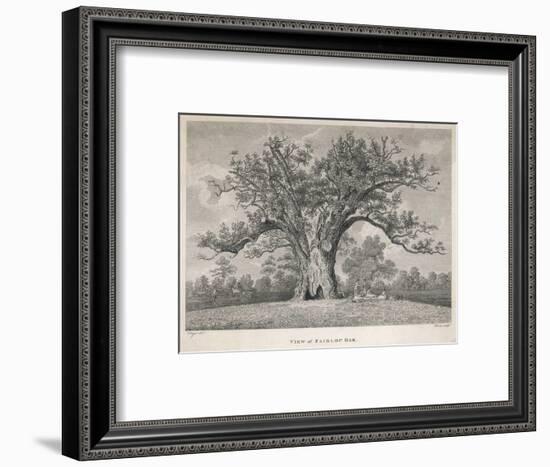 View of the Fairlop Oak in Epping Forest-Dayes-Framed Art Print