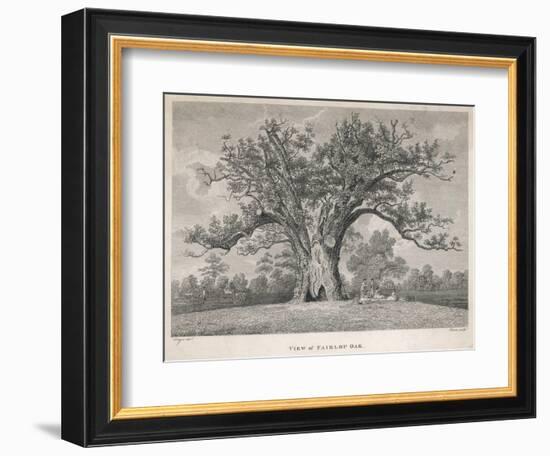 View of the Fairlop Oak in Epping Forest-Dayes-Framed Art Print