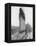 View of the Flatiron Building under Construction in New York City-null-Framed Premier Image Canvas