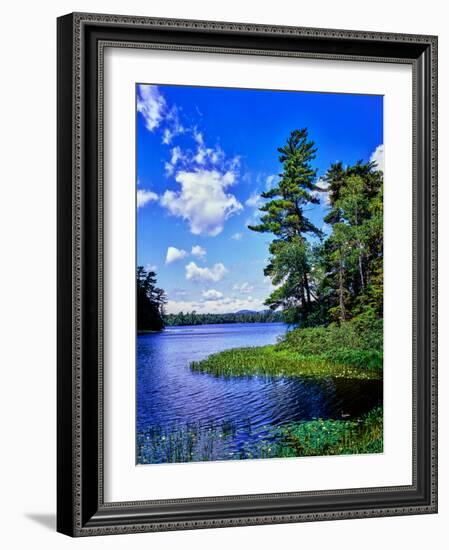 View of the Follensby Clear Pond, Adirondack Mountains, New York State, USA-null-Framed Photographic Print