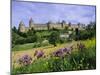 View of the Fortified City, Carcassonne, Unesco World Heritage Site, Languedoc, France, Europe-Gavin Hellier-Mounted Photographic Print