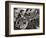 View of the French Horn Section of the New York Philharmonic-Margaret Bourke-White-Framed Photographic Print