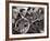 View of the French Horn Section of the New York Philharmonic-Margaret Bourke-White-Framed Photographic Print