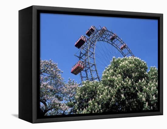 View of the Giant Prater Ferris Wheel Above Chestnut Trees in Bloom, Vienna, Austria-Richard Nebesky-Framed Premier Image Canvas
