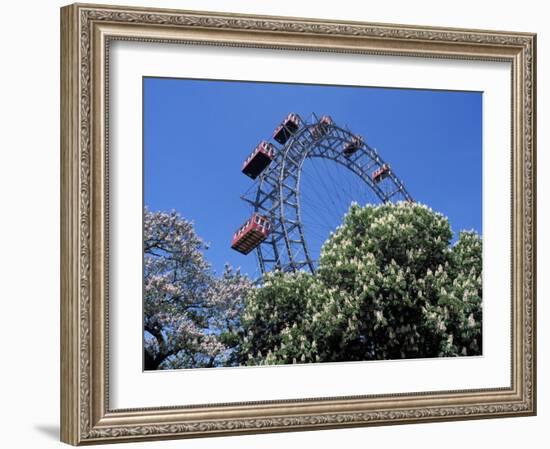 View of the Giant Prater Ferris Wheel Above Chestnut Trees in Bloom, Vienna, Austria-Richard Nebesky-Framed Photographic Print