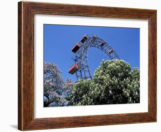 View of the Giant Prater Ferris Wheel Above Chestnut Trees in Bloom, Vienna, Austria-Richard Nebesky-Framed Photographic Print