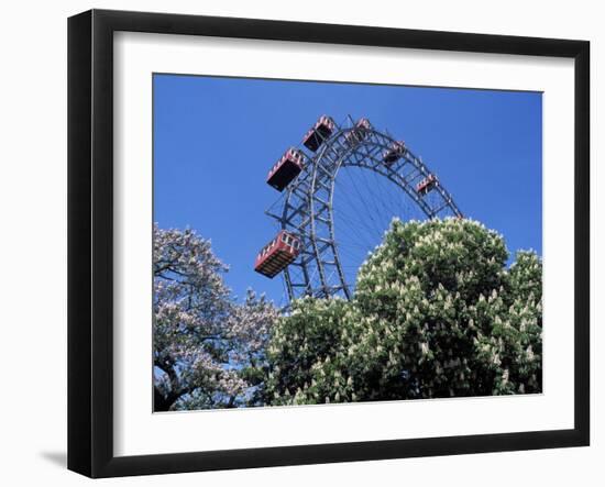 View of the Giant Prater Ferris Wheel Above Chestnut Trees in Bloom, Vienna, Austria-Richard Nebesky-Framed Photographic Print