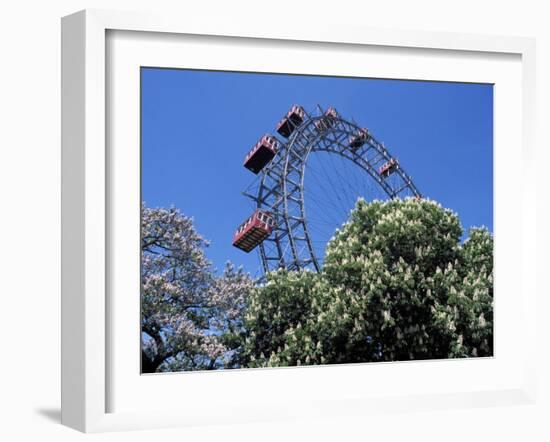 View of the Giant Prater Ferris Wheel Above Chestnut Trees in Bloom, Vienna, Austria-Richard Nebesky-Framed Photographic Print