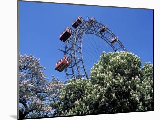 View of the Giant Prater Ferris Wheel Above Chestnut Trees in Bloom, Vienna, Austria-Richard Nebesky-Mounted Photographic Print