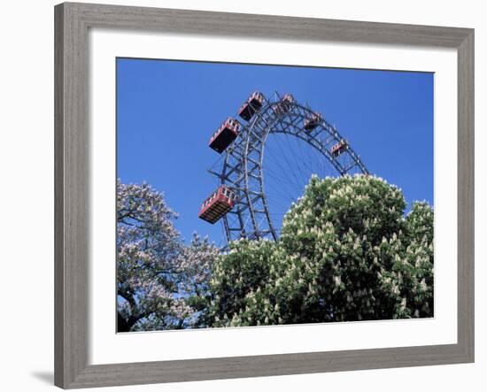 View of the Giant Prater Ferris Wheel Above Chestnut Trees in Bloom, Vienna, Austria-Richard Nebesky-Framed Photographic Print