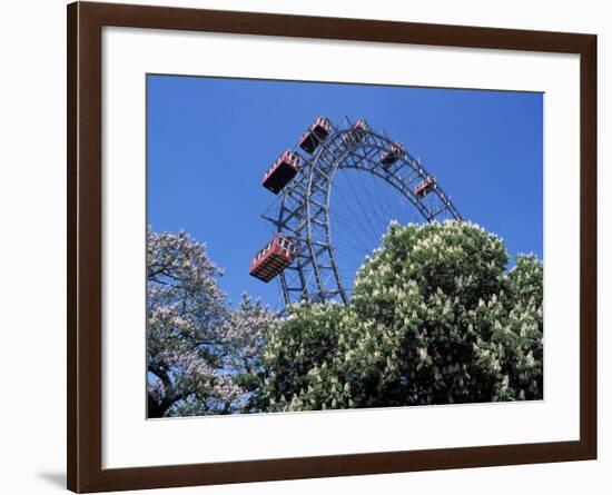 View of the Giant Prater Ferris Wheel Above Chestnut Trees in Bloom, Vienna, Austria-Richard Nebesky-Framed Photographic Print