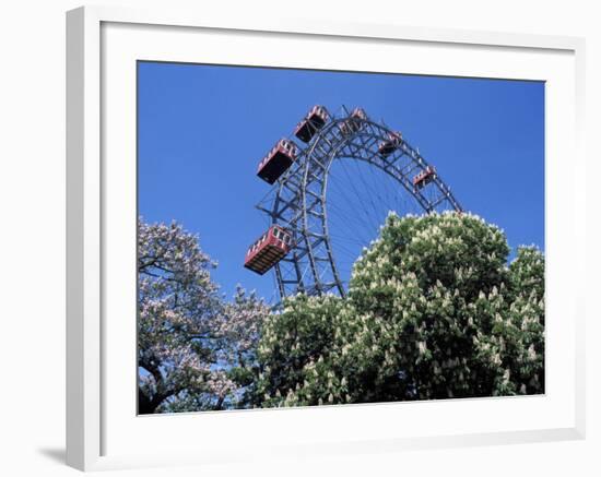 View of the Giant Prater Ferris Wheel Above Chestnut Trees in Bloom, Vienna, Austria-Richard Nebesky-Framed Photographic Print