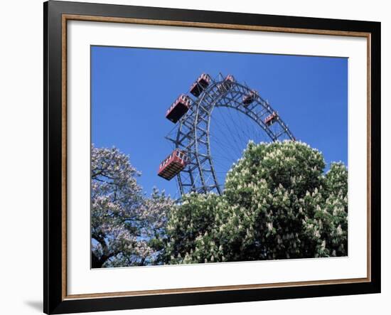 View of the Giant Prater Ferris Wheel Above Chestnut Trees in Bloom, Vienna, Austria-Richard Nebesky-Framed Photographic Print