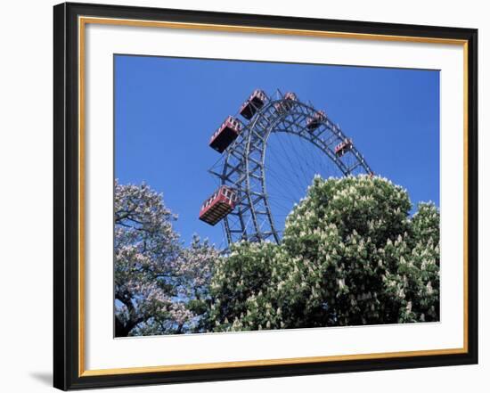 View of the Giant Prater Ferris Wheel Above Chestnut Trees in Bloom, Vienna, Austria-Richard Nebesky-Framed Photographic Print