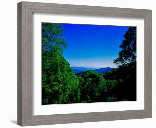 View of the Great Smoky Mountains National Park from Newfound Gap Road, Tennessee and North Caro...-null-Framed Photographic Print