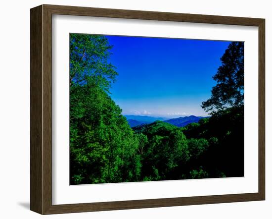 View of the Great Smoky Mountains National Park from Newfound Gap Road, Tennessee and North Caro...-null-Framed Photographic Print