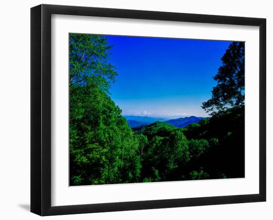 View of the Great Smoky Mountains National Park from Newfound Gap Road, Tennessee and North Caro...-null-Framed Photographic Print