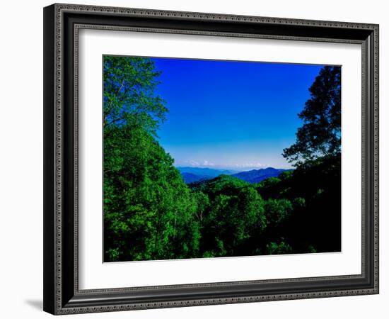 View of the Great Smoky Mountains National Park from Newfound Gap Road, Tennessee and North Caro...-null-Framed Photographic Print