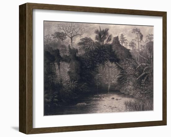 View of the Gulf of Biafra, West Africa, 1877-Emma Sandys-Framed Giclee Print