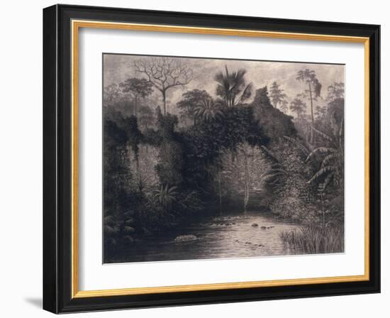 View of the Gulf of Biafra, West Africa, 1877-Emma Sandys-Framed Giclee Print