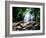 View of the Helton Creek Falls, Chattahoochee-Oconee National Forest, Georgia, USA-null-Framed Photographic Print