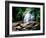 View of the Helton Creek Falls, Chattahoochee-Oconee National Forest, Georgia, USA-null-Framed Photographic Print