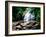 View of the Helton Creek Falls, Chattahoochee-Oconee National Forest, Georgia, USA-null-Framed Photographic Print