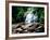 View of the Helton Creek Falls, Chattahoochee-Oconee National Forest, Georgia, USA-null-Framed Photographic Print