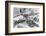 View of the Holland Tunnel Entrance before a Holiday-Philip Gendreau-Framed Photographic Print