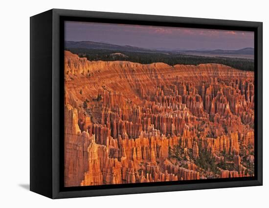 View of the Hoodoos or Eroded Rock Formations in Bryce Amphitheater, Bryce Canyon National Park-Dennis Flaherty-Framed Premier Image Canvas