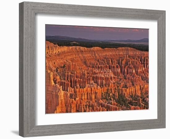 View of the Hoodoos or Eroded Rock Formations in Bryce Amphitheater, Bryce Canyon National Park-Dennis Flaherty-Framed Photographic Print