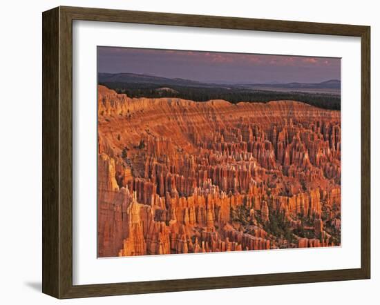 View of the Hoodoos or Eroded Rock Formations in Bryce Amphitheater, Bryce Canyon National Park-Dennis Flaherty-Framed Photographic Print