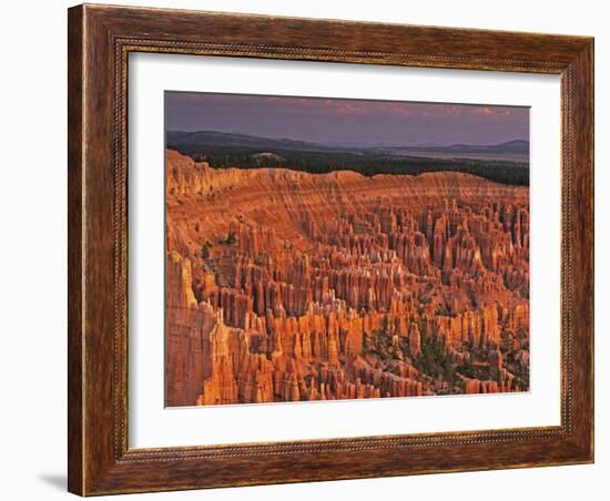 View of the Hoodoos or Eroded Rock Formations in Bryce Amphitheater, Bryce Canyon National Park-Dennis Flaherty-Framed Photographic Print