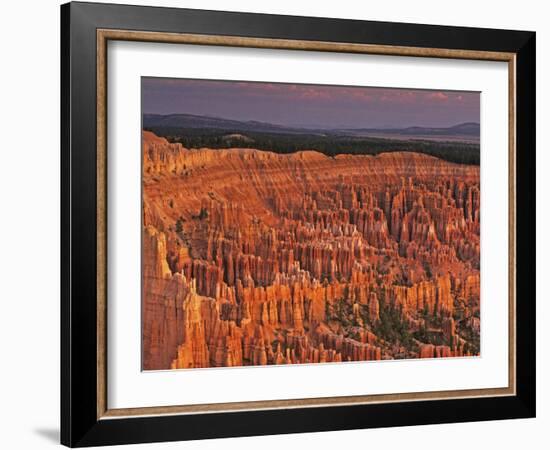 View of the Hoodoos or Eroded Rock Formations in Bryce Amphitheater, Bryce Canyon National Park-Dennis Flaherty-Framed Photographic Print