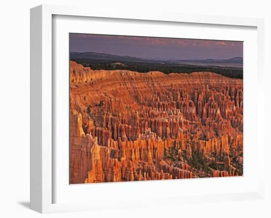 View of the Hoodoos or Eroded Rock Formations in Bryce Amphitheater, Bryce Canyon National Park-Dennis Flaherty-Framed Photographic Print