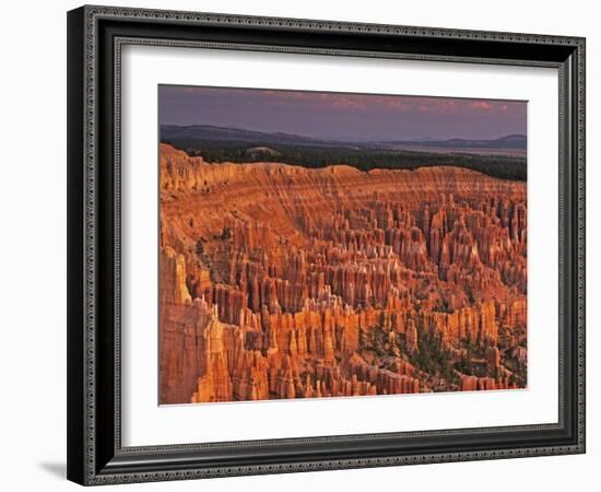 View of the Hoodoos or Eroded Rock Formations in Bryce Amphitheater, Bryce Canyon National Park-Dennis Flaherty-Framed Photographic Print