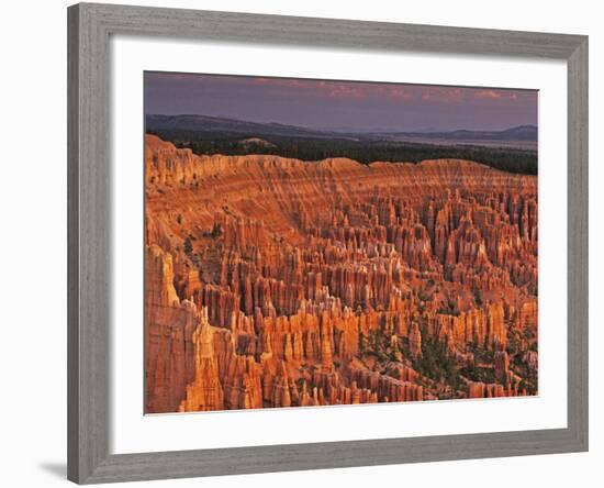 View of the Hoodoos or Eroded Rock Formations in Bryce Amphitheater, Bryce Canyon National Park-Dennis Flaherty-Framed Photographic Print