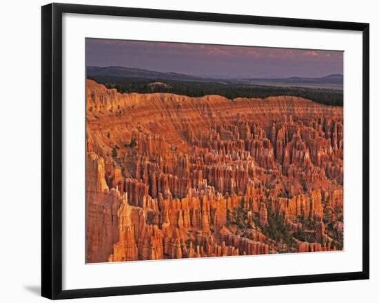 View of the Hoodoos or Eroded Rock Formations in Bryce Amphitheater, Bryce Canyon National Park-Dennis Flaherty-Framed Photographic Print