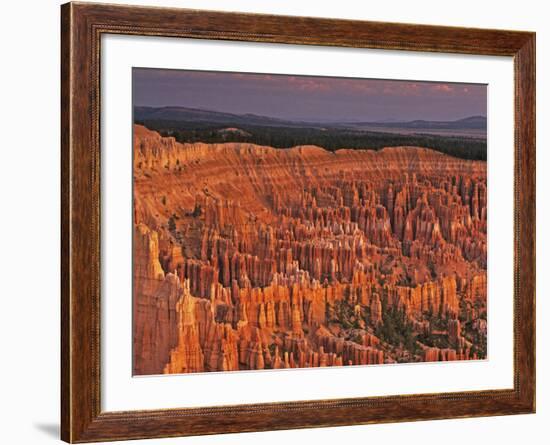 View of the Hoodoos or Eroded Rock Formations in Bryce Amphitheater, Bryce Canyon National Park-Dennis Flaherty-Framed Photographic Print