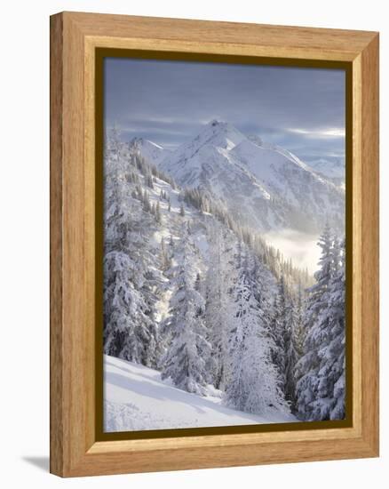 View of the Kreuzkogel to the Laderdinger Gamskarspitz, Salzburg, Austria-Rainer Mirau-Framed Premier Image Canvas