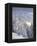 View of the Kreuzkogel to the Laderdinger Gamskarspitz, Salzburg, Austria-Rainer Mirau-Framed Premier Image Canvas