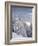 View of the Kreuzkogel to the Laderdinger Gamskarspitz, Salzburg, Austria-Rainer Mirau-Framed Photographic Print