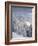 View of the Kreuzkogel to the Laderdinger Gamskarspitz, Salzburg, Austria-Rainer Mirau-Framed Photographic Print